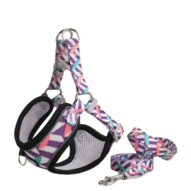 Supet Adjustable Dog Harness and Leash Set (Purple) - Small