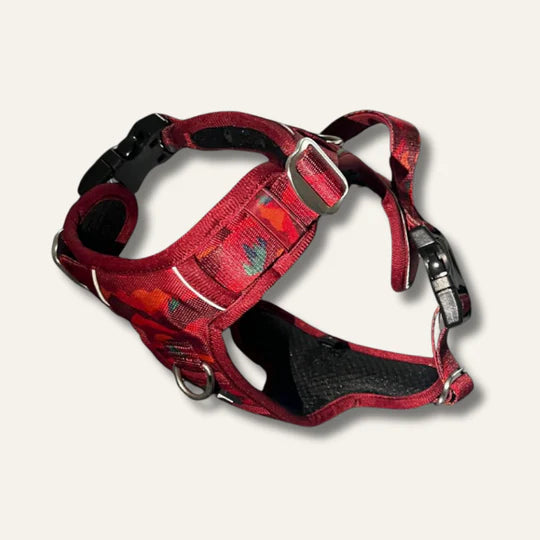 Twiggy Tags Alpenglow  Adventure Dog Harness
